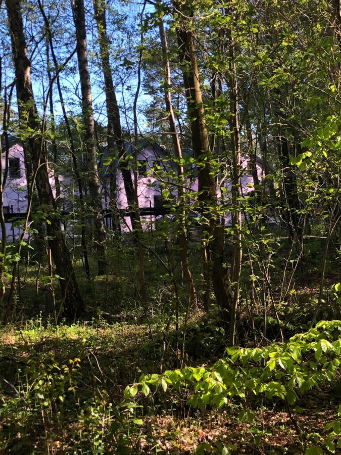 Lawendowe Domki Międzywodzie Extérieur photo